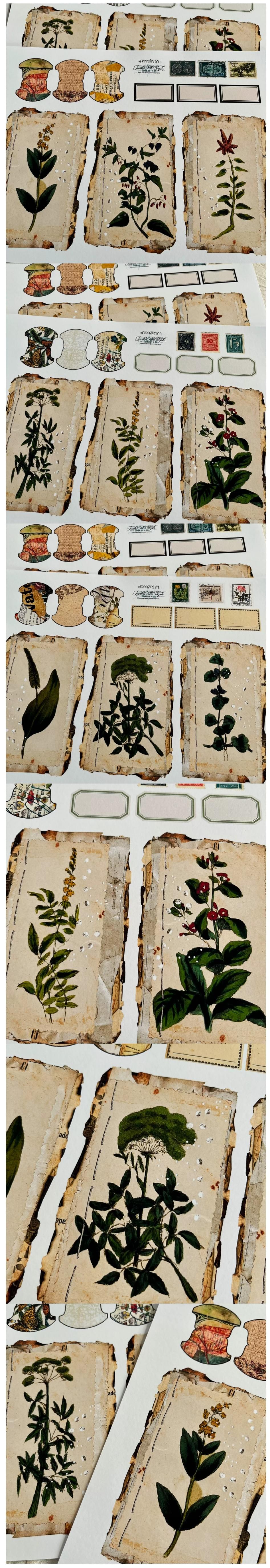 Vintage Botanical Tags & Woodland Labels (22-32)