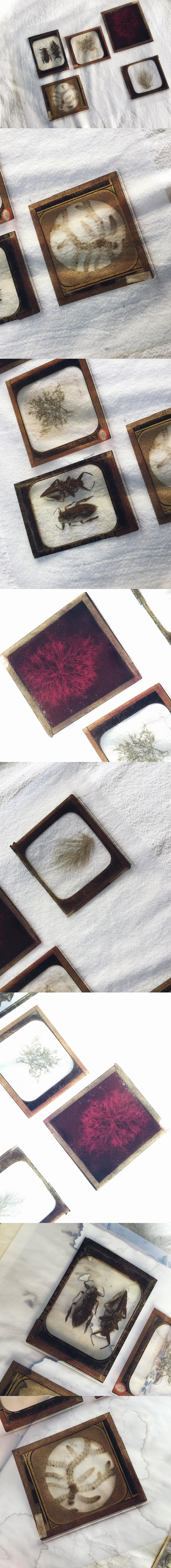 Dark Vintage Film Strips & Clear Transparency Overlays (11-28)
