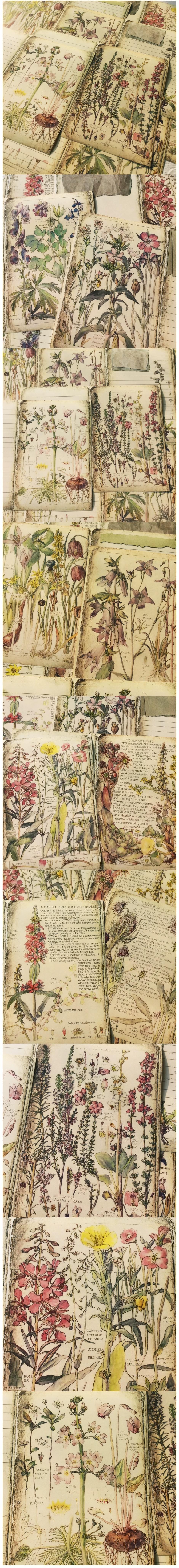 Vintage Botanical Garden Scrapbook Inner Pages (22-66)