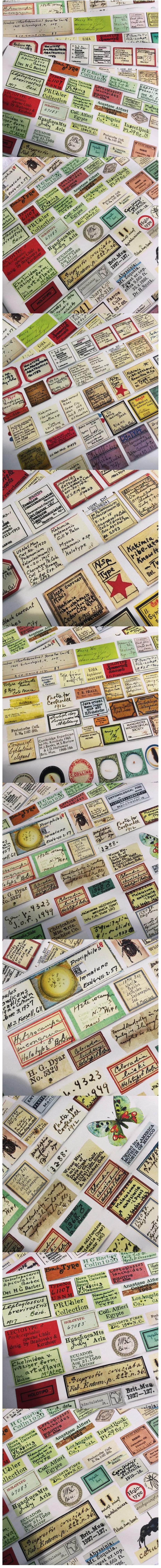 Vintage English Index Word Strips & TN Journal Memos (6-24)