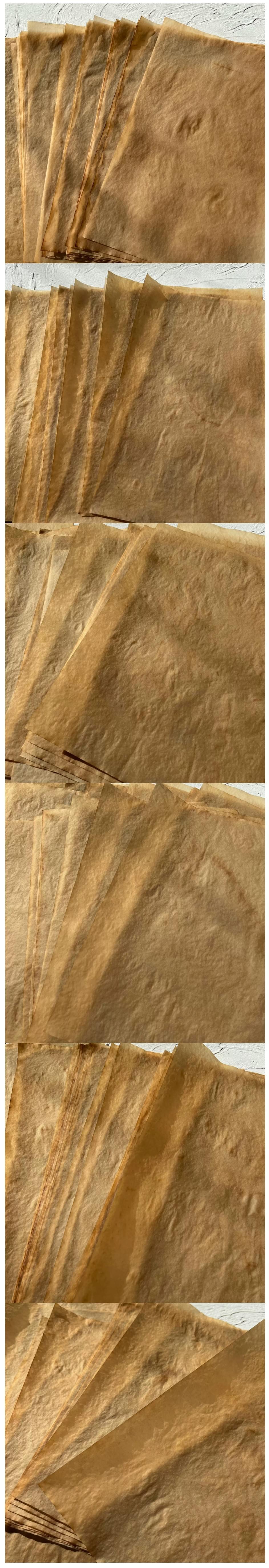Handmade Coffee-Stained Grungy Vellum Writing Papers (9-6)