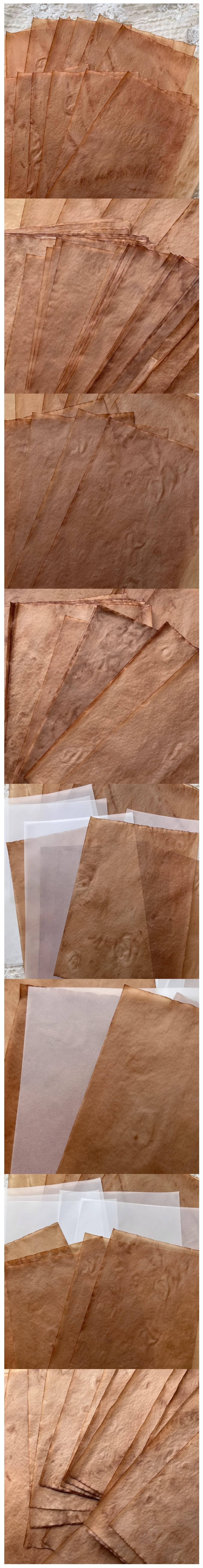 Handmade Tea-Dyed Blank Parchment & Vellum Sheets (9-2)