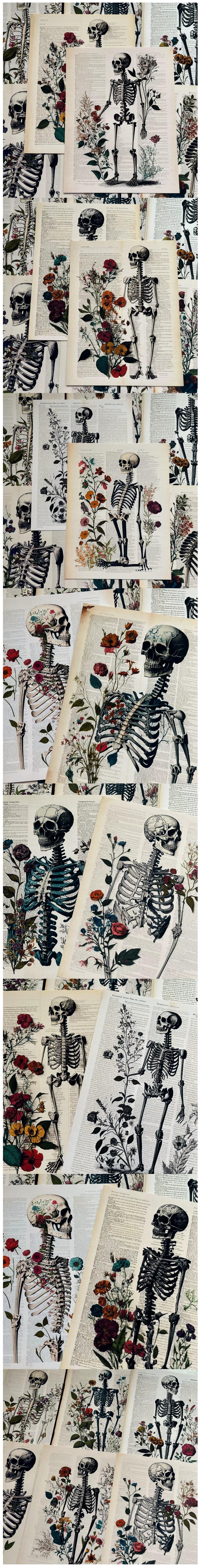 Macabre Skeletal Anatomy & Human Bone Elements (11-3)