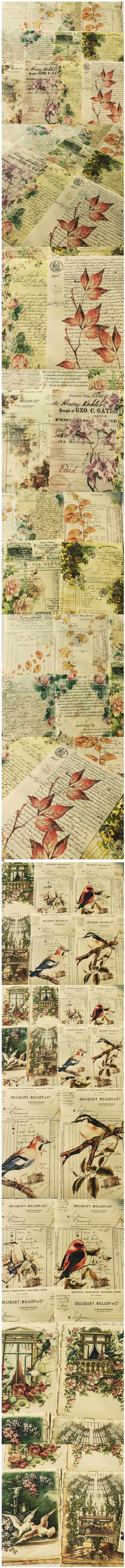 Antique Letters & Woodland Bird Newspapers (23-13)