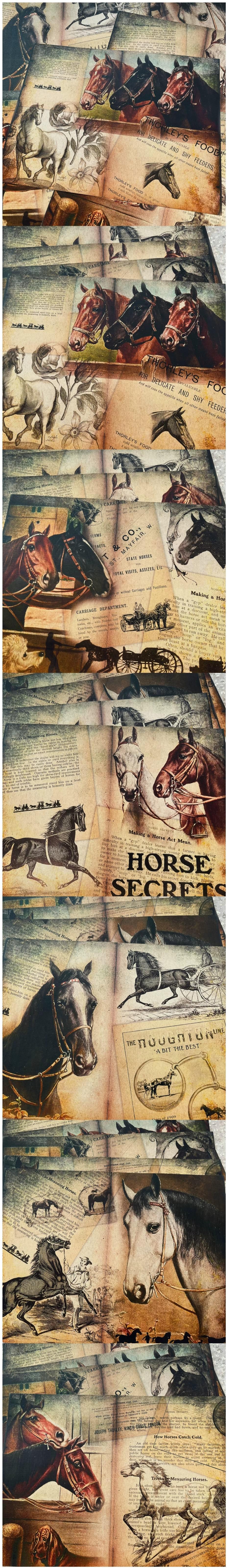 Antique Farm Horses & Vintage Newspapers (24-19)