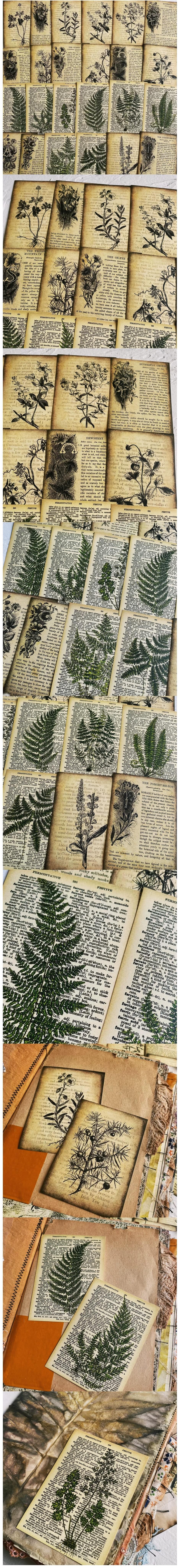 Essential Botanical Memo Bundles & Ephemera Packs (10-93)