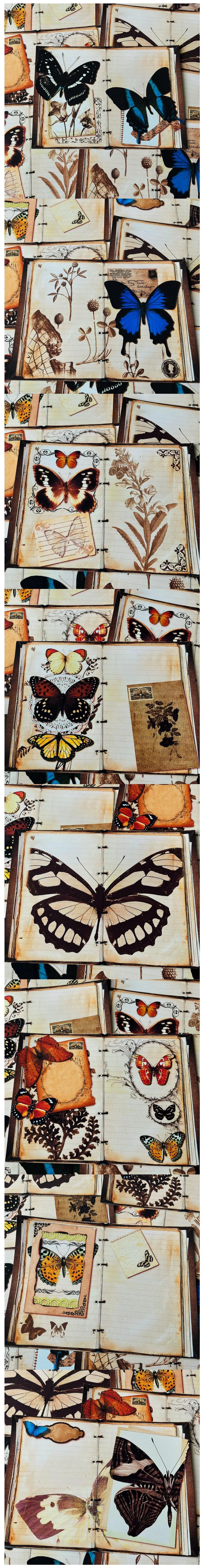 Vintage Butterflies & Cottage Flower Collage (22-43)
