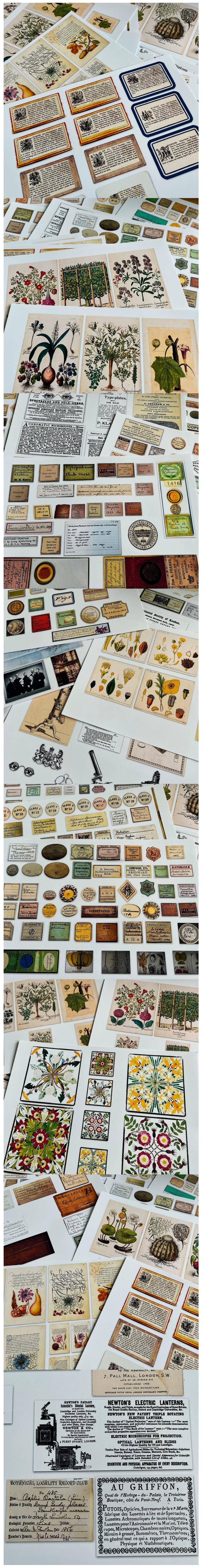 Vintage Flora Labels & Garden Receipt Ticket Bundles (10-44)
