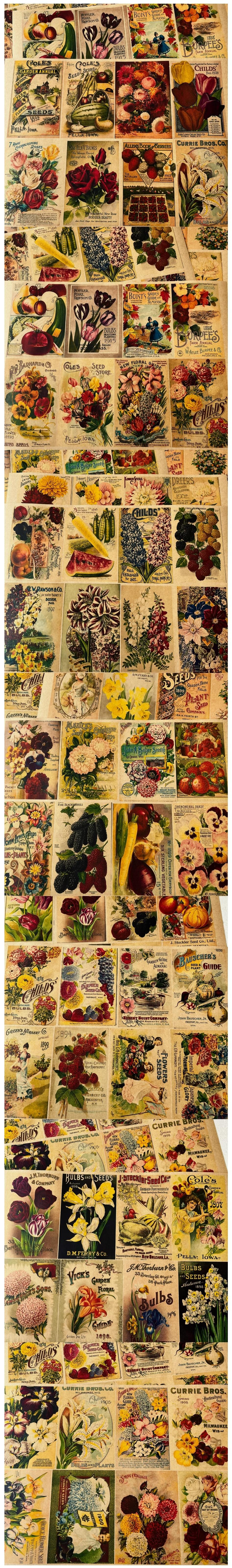 Vintage Flower Frames & Kraft Label Sheets (19-12)