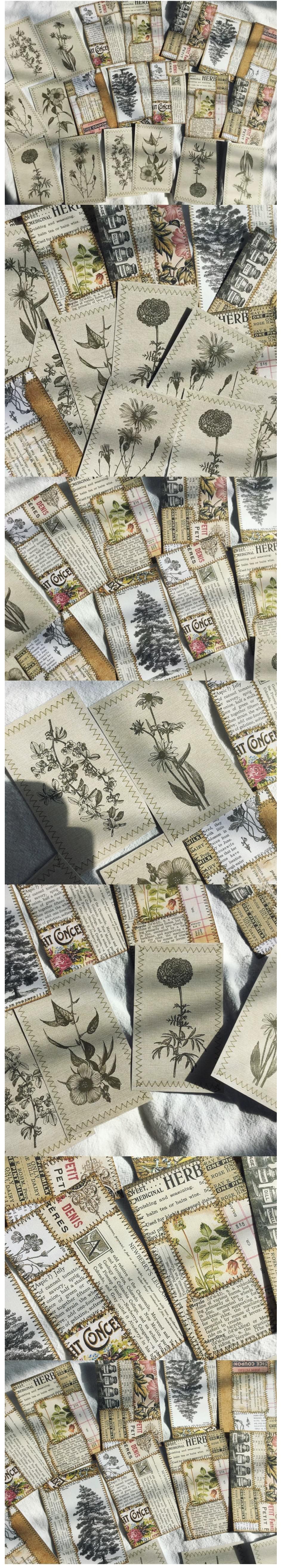 Retro Taylor Sewing Guide & Botanical Element Cards (10-86)