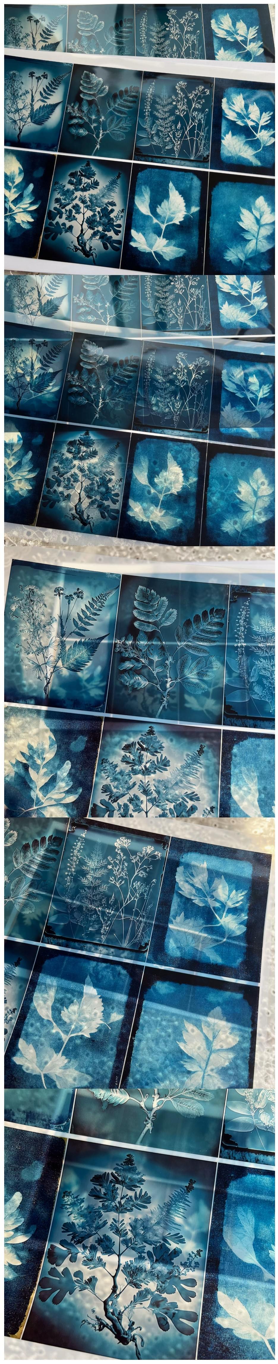 Vintage Clear Acetate Plant & Floral Film Strips (10-10)