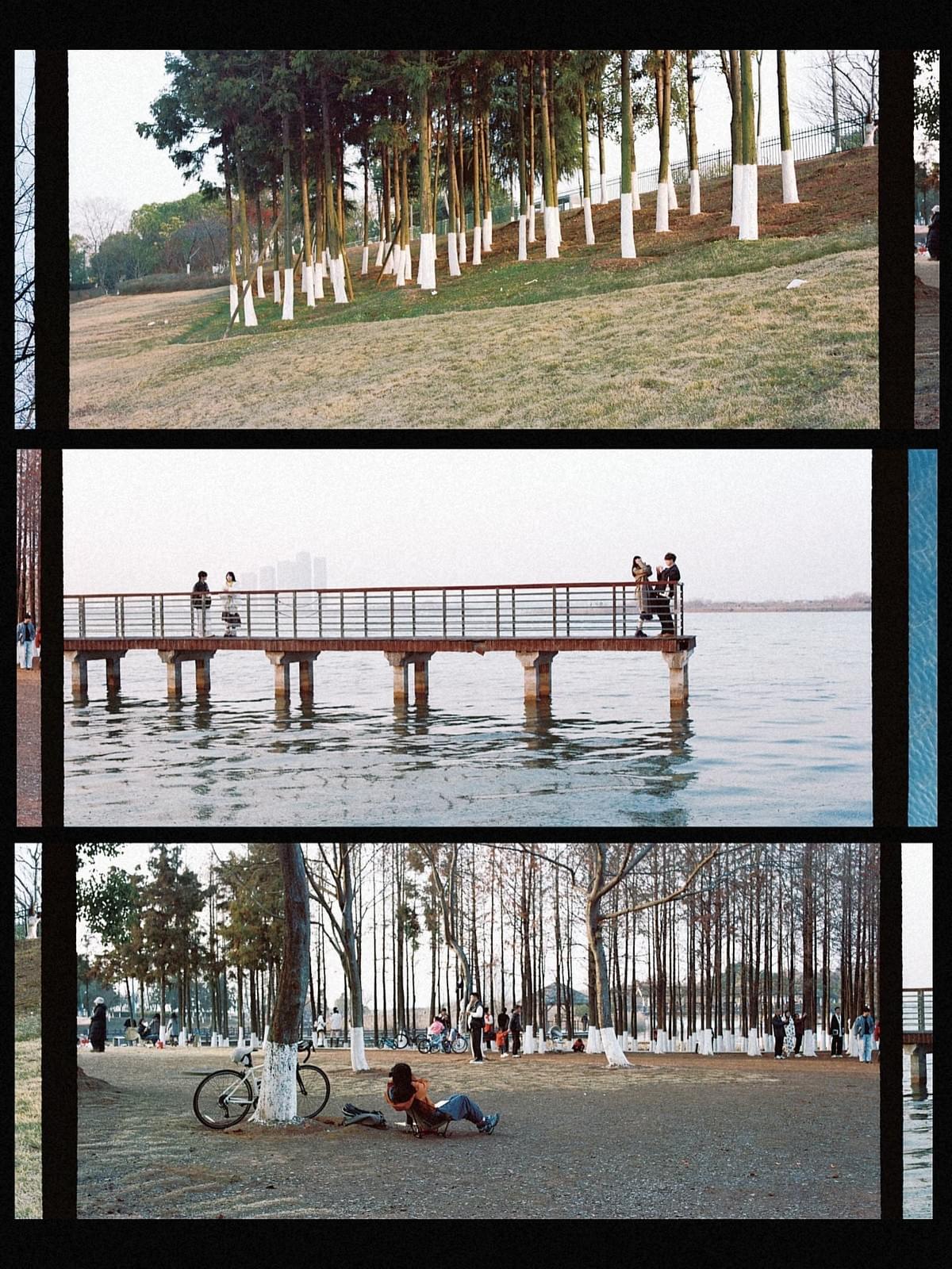 Hasselblad 135 Panoramic Film Back