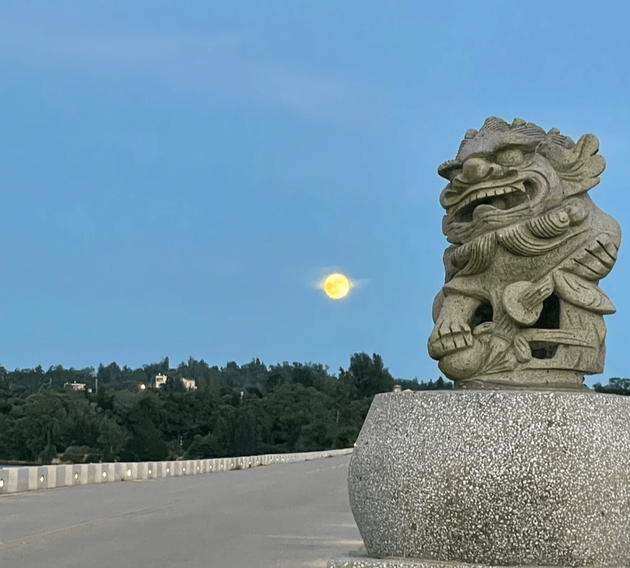 慈堤上的獅大爺-悠哉悠古厝民宿 慈堤上的獅大爺-悠哉悠古厝民宿