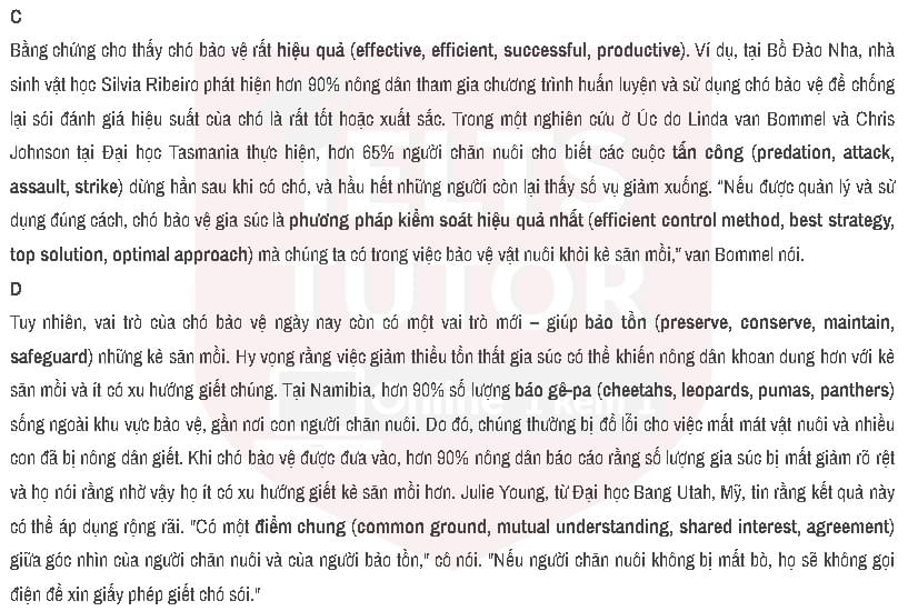 A new role for livestock guard dogs: Đề thi IELTS READING (IELTS Reading Practice Test) A new role for livestock guard dogs: Đề thi IELTS READING (IELTS Reading Practice Test)
