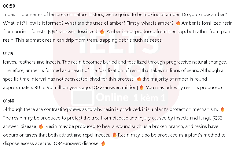 What is amber?: Đề thi IELTS LISTENING (actual test) What is amber?: Đề thi IELTS LISTENING (actual test)