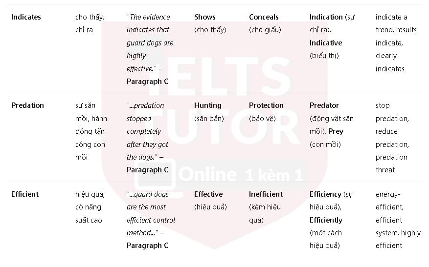 A new role for livestock guard dogs: Đề thi IELTS READING (IELTS Reading Practice Test) A new role for livestock guard dogs: Đề thi IELTS READING (IELTS Reading Practice Test)