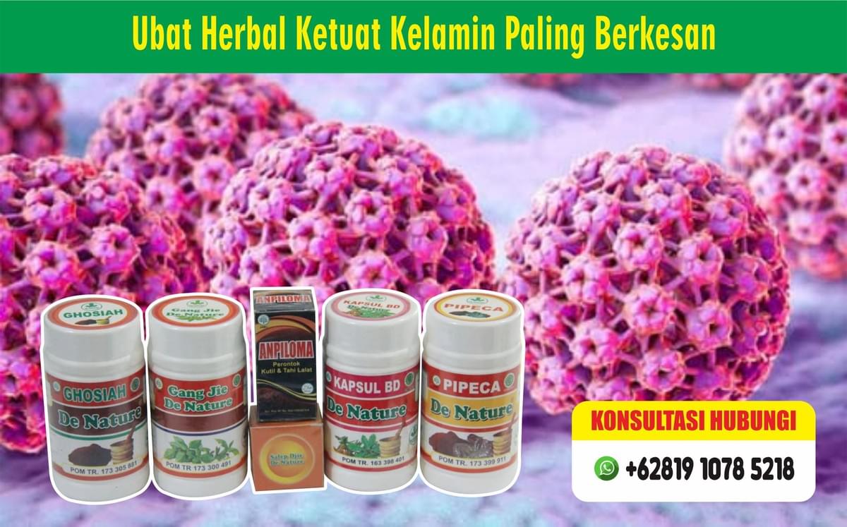Huraian Perubatan Herba Kuat untuk Ketuat Genital, PT. Kumpulan De Nature Indonesia Huraian Perubatan Herba Kuat untuk Ketuat Genital, PT. Kumpulan De Nature Indonesia