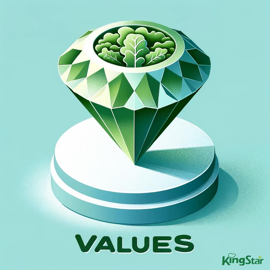 Kingstar's Values Kingstar's Values