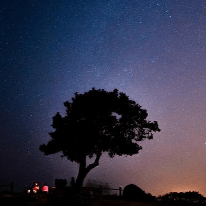 徐高飞的文章 徐高飞的文章