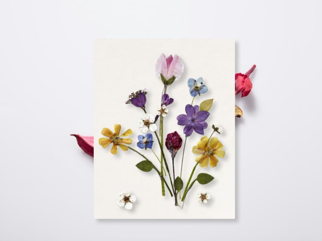 Dry Flower Fiber Desiccant