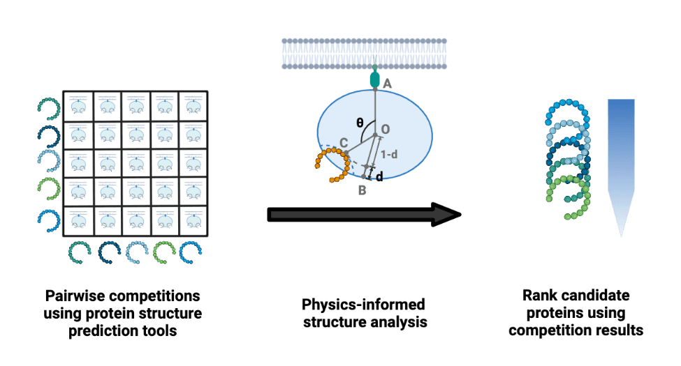 Concept of APPRAISE, a fast, accurate method for ranking engineered proteins using competitive structural modeling Concept of APPRAISE, a fast, accurate method for ranking engineered proteins using competitive structural modeling
