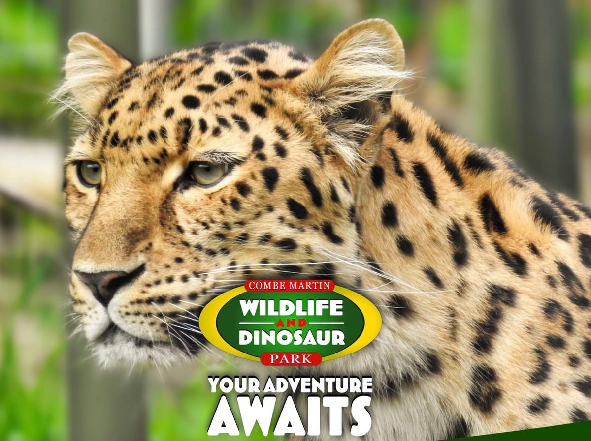 Combe Martin Wildlife and Dinosaur Park Combe Martin Wildlife and Dinosaur Park
