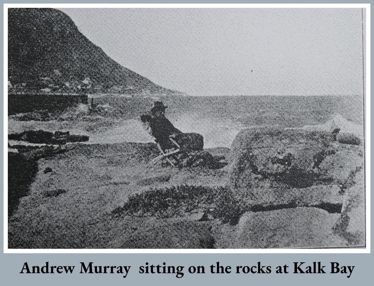 Section image