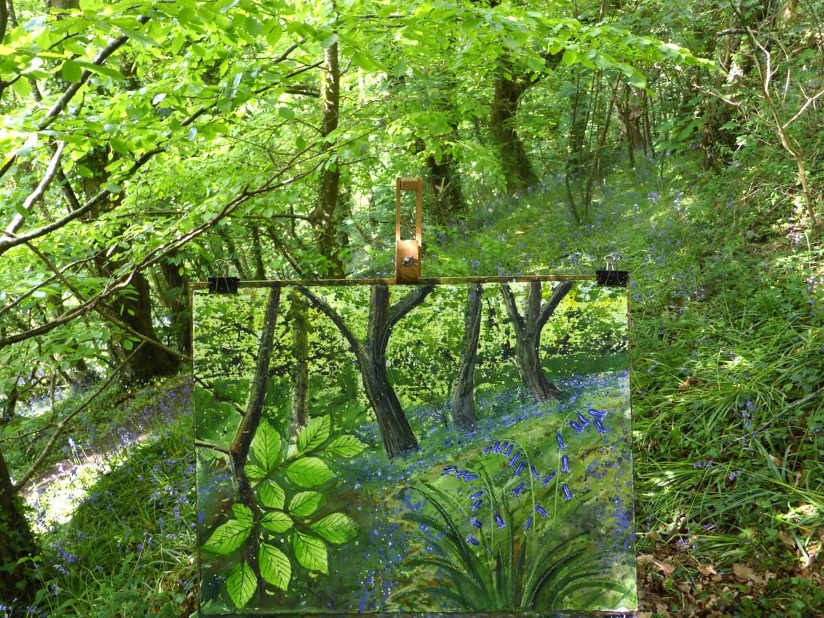 Section image