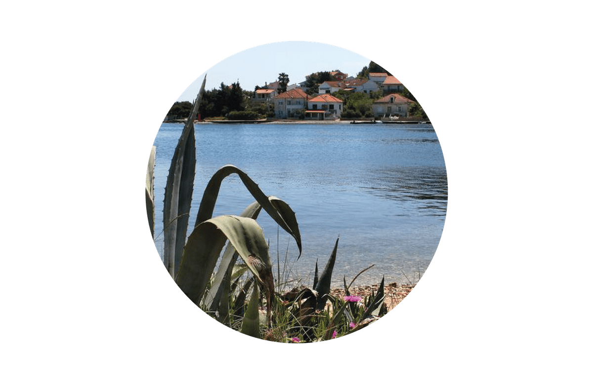 Live on the island Live on the island