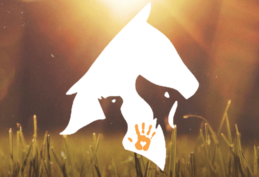 thelepathic communication animal thelepathic communication animal