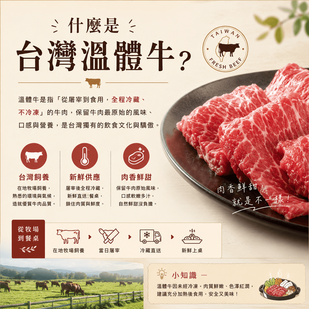 台灣溫體牛-第一牛肉 台灣溫體牛-第一牛肉