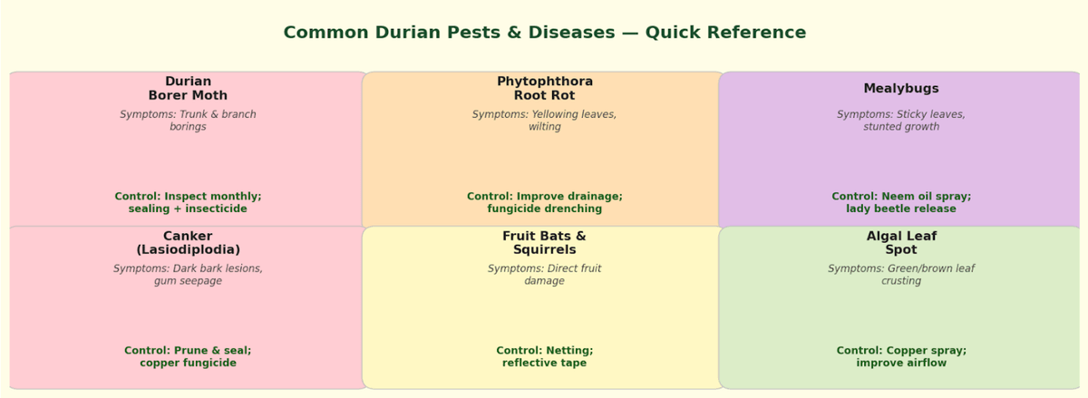 Quick reference guide to the most economically significant durian pests and diseases. Quick reference guide to the most economically significant durian pests and diseases.