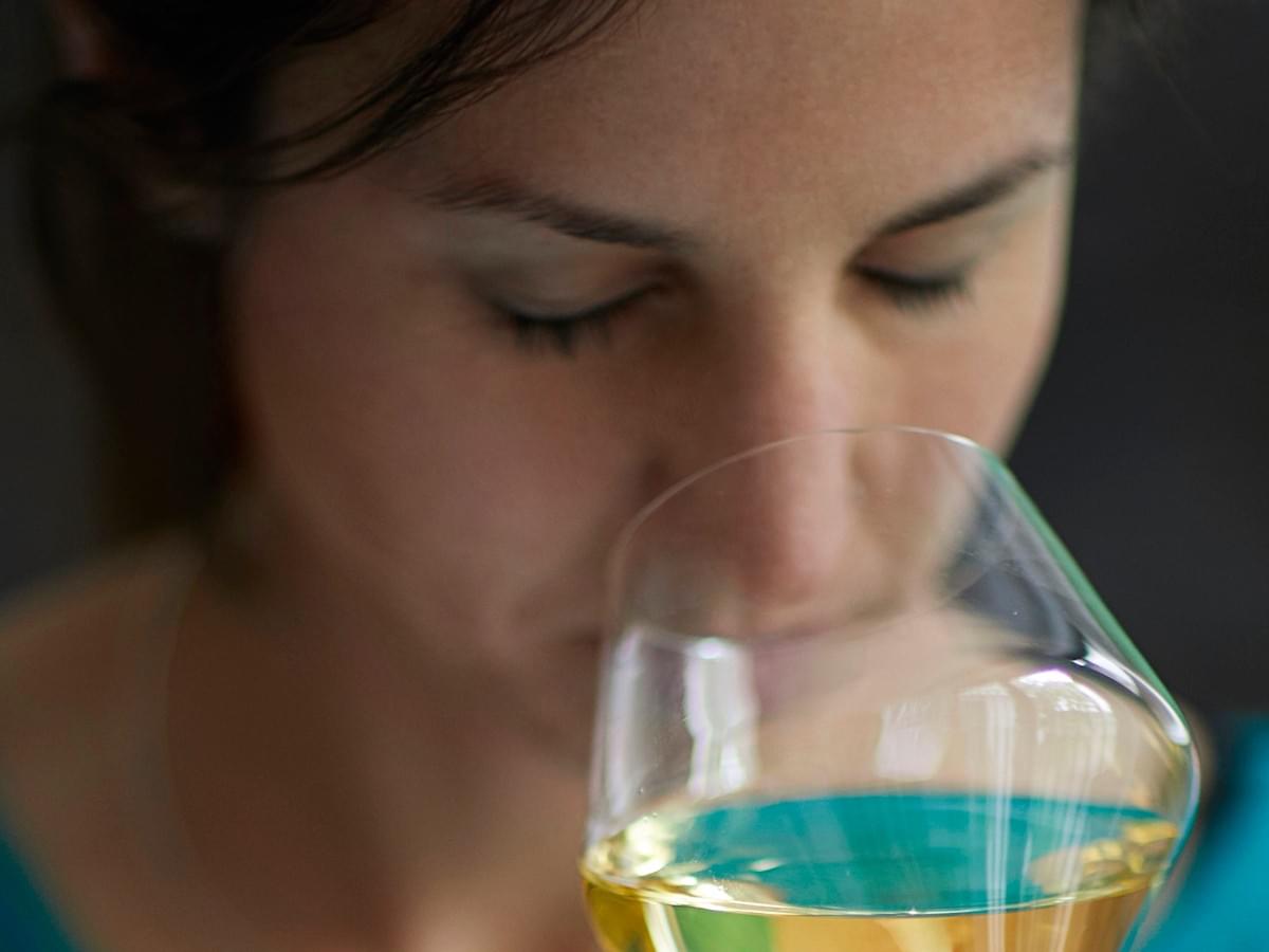 wine tasting, dégustation de vin, dégustation de chocolat, anosmie, olfaction, entraînement odorat wine tasting, dégustation de vin, dégustation de chocolat, anosmie, olfaction, entraînement odorat