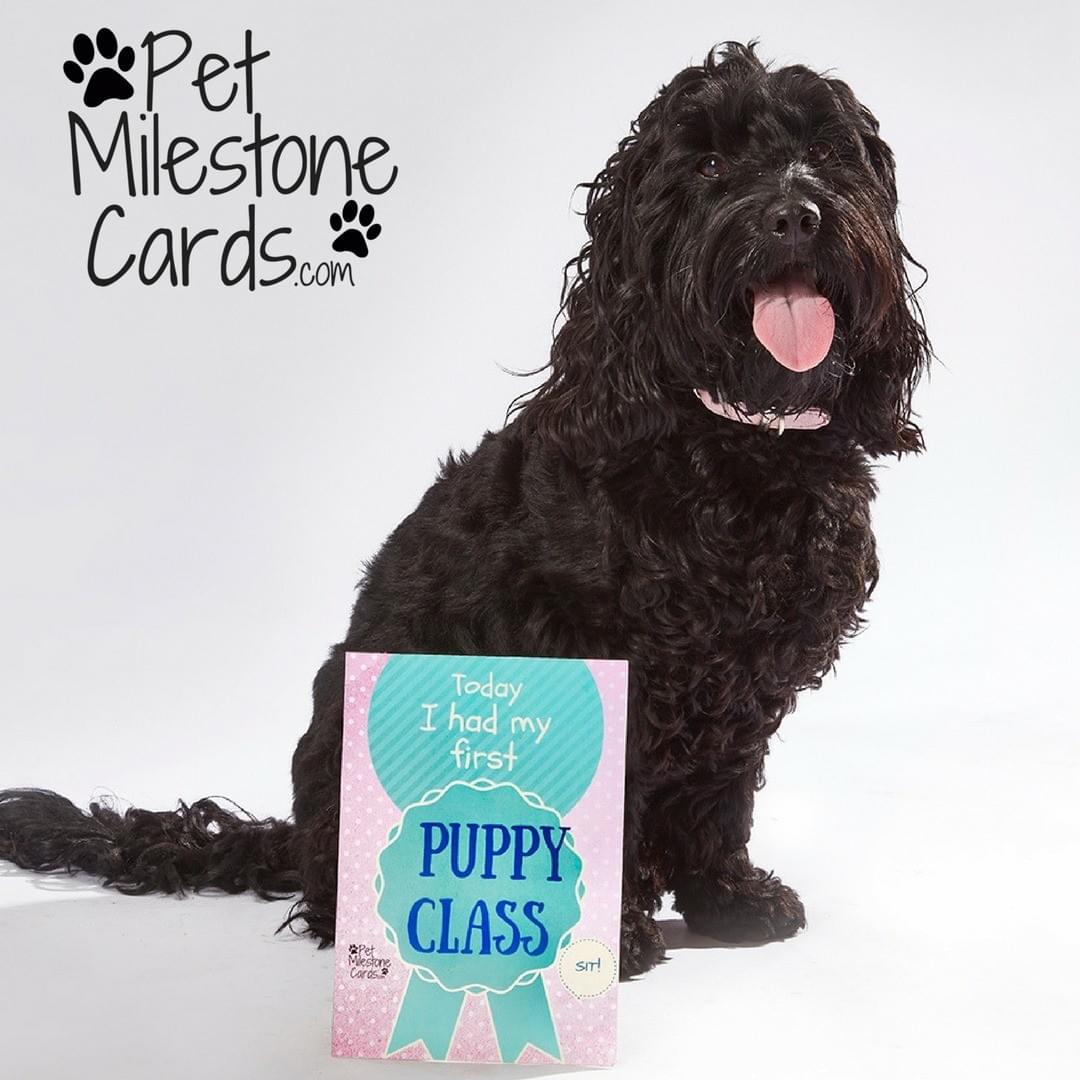 Puppy Milestone Cards Puppy Milestone Cards