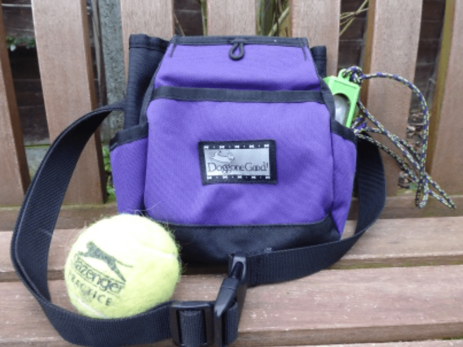 Doggone Good Treat Bag - CD Dog Training Doggone Good Treat Bag - CD Dog Training