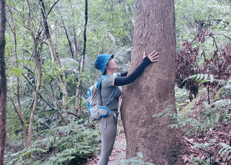 烏迪雅那|薩滿療癒 烏迪雅那|薩滿療癒