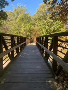 A bridge illustrating the structural flexibility and core stability needed to survive heavy cognitive load. A bridge illustrating the structural flexibility and core stability needed to survive heavy cognitive load.