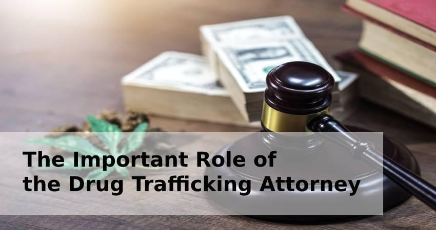 The Important Role of the Drug Trafficking Attorney The Important Role of the Drug Trafficking Attorney