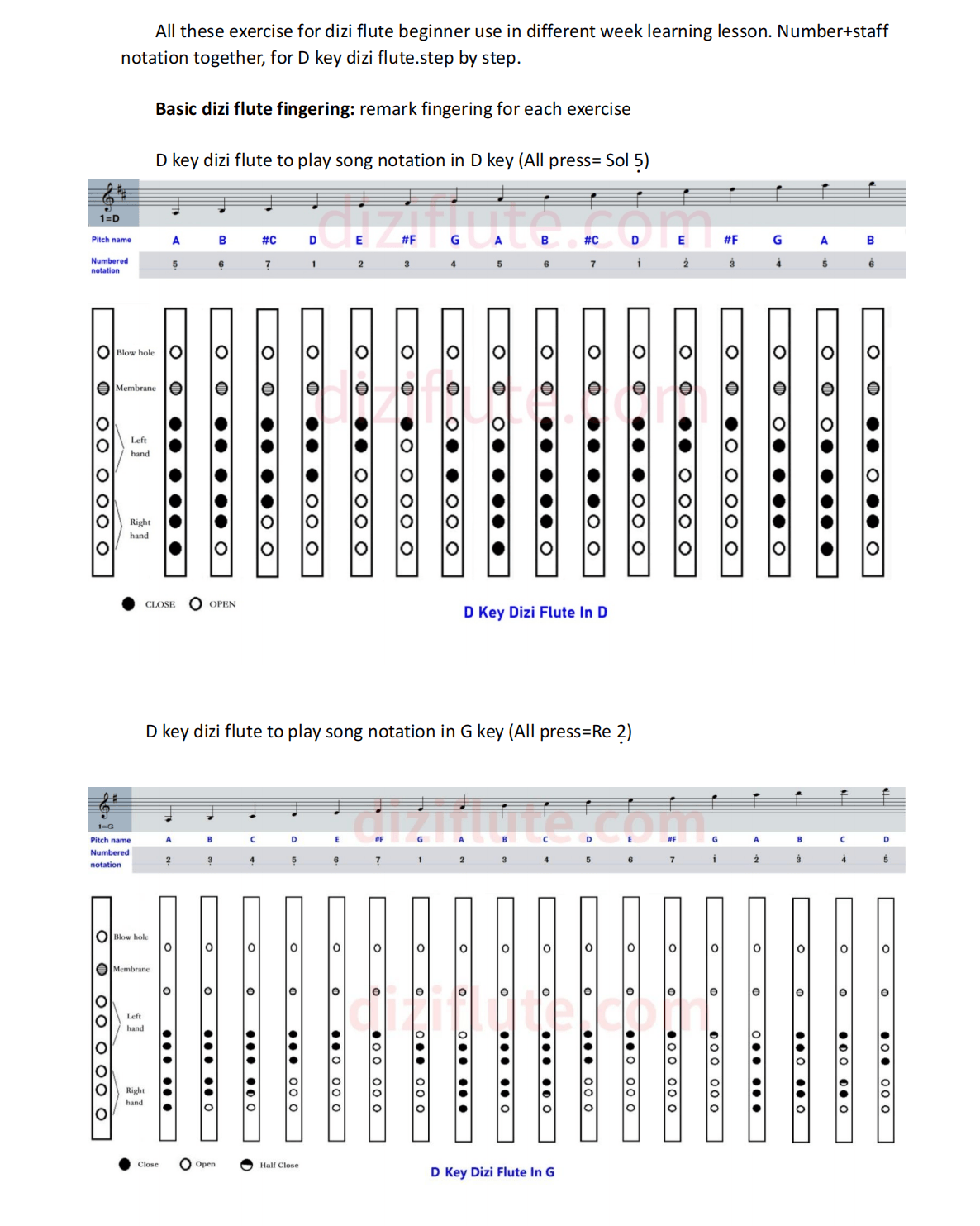 D Key Dizi Flute Learning Exercise Notation Book (Step by step for beginner)