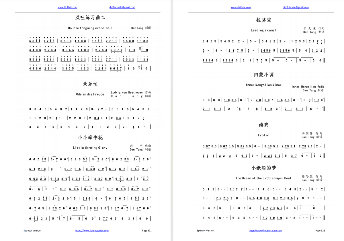 Chinese Dizi Flute Learning Courses Exercise Notation Book (52 weeks Step by step for beginner)