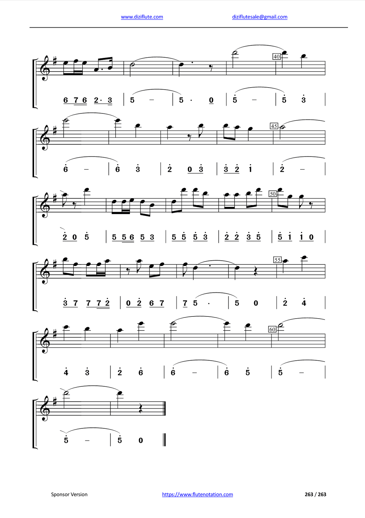 Chinese Dizi Flute Exercise Notation Book (Systematically learn starting from very beginner)