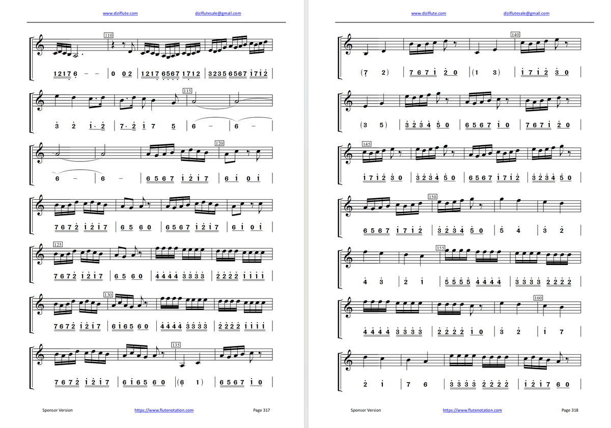 C key+D Key Dizi Flute Learning Exercise Notation Book (52 weeks learning Step by step for beginner)