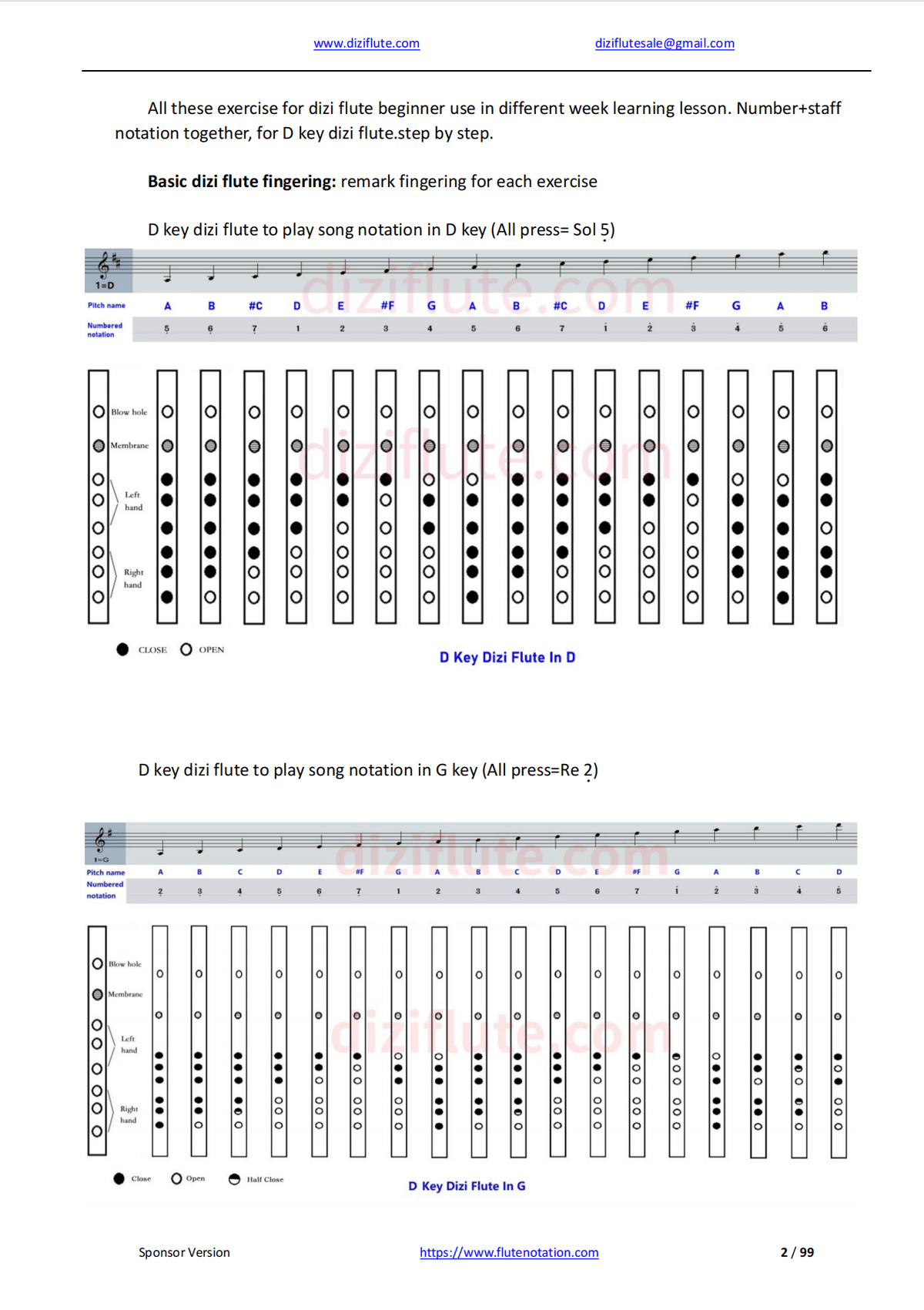 Chinese D Key Dizi Flute Learning Exercise Notation Book (Step by step for beginner)