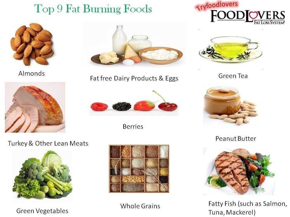 7 Foods That Burn Fat 7 Foods That Burn Fat