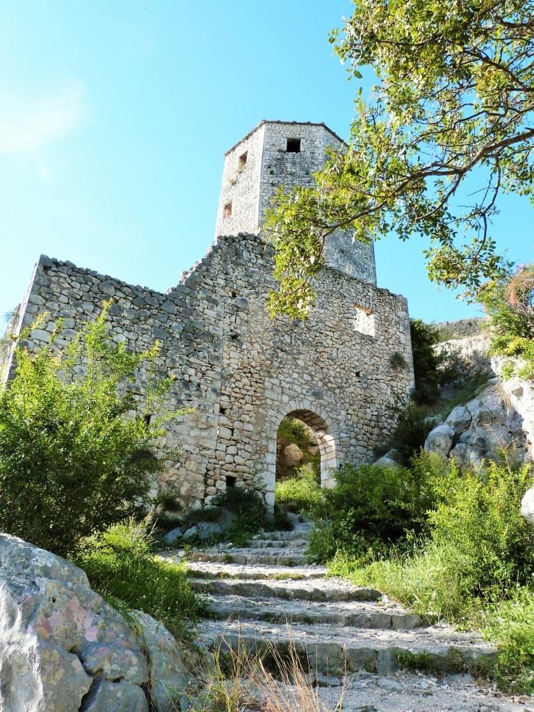 Section image