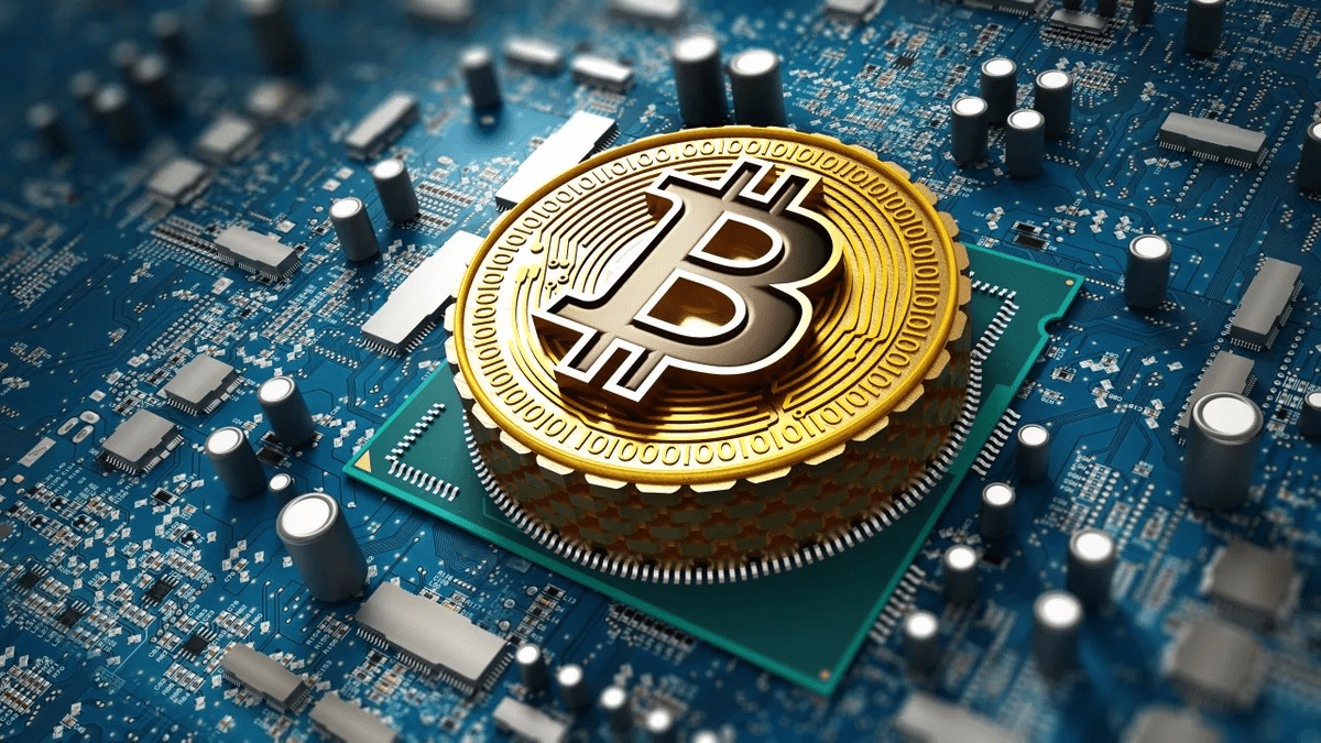 币赢CoinW Capital 币赢CoinW Capital