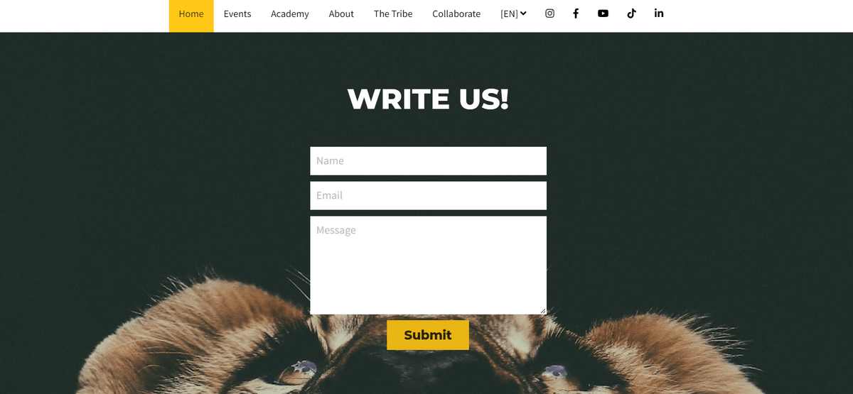 Learn how to retain email subscribers like Playfight Learn how to retain email subscribers like Playfight