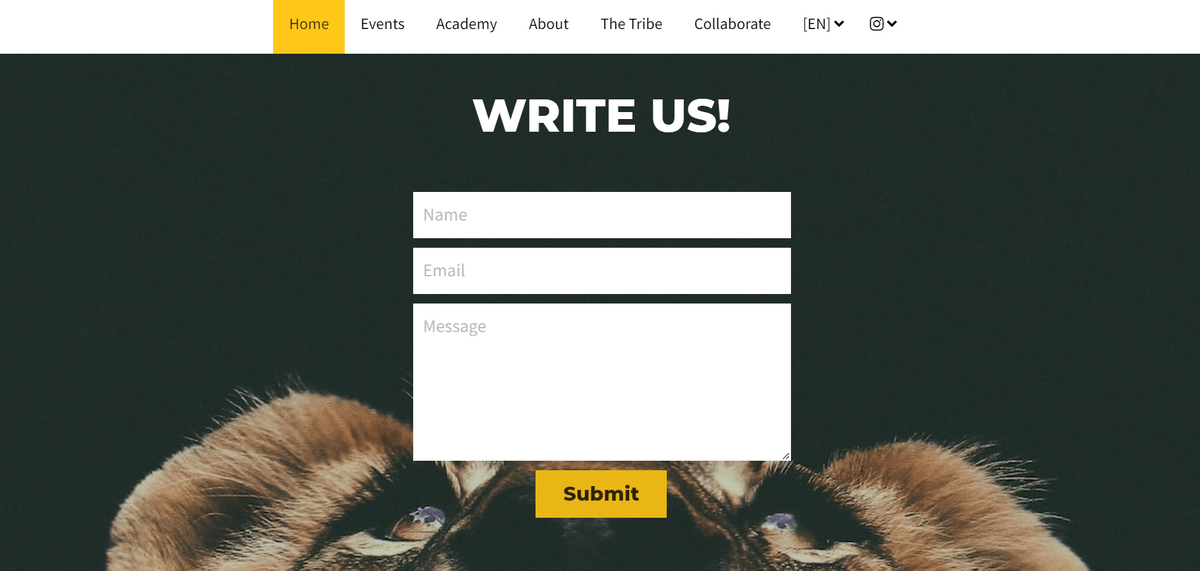 编写像Playfight一样的最佳电子邮件主题行的提示 编写像Playfight一样的最佳电子邮件主题行的提示