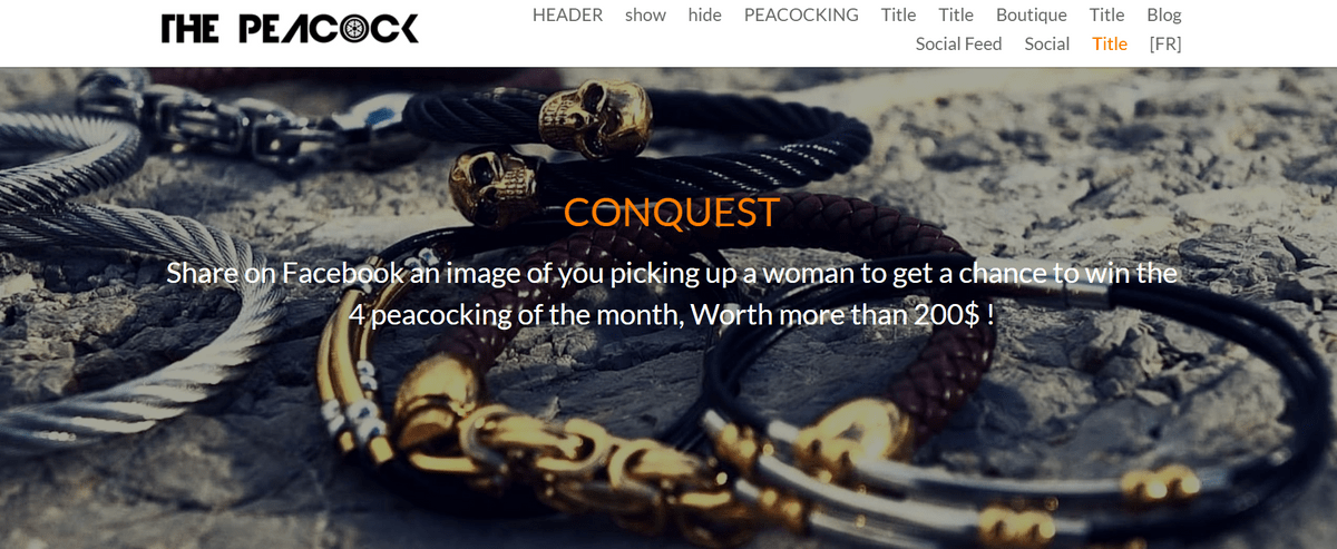 Peacock jewelry design