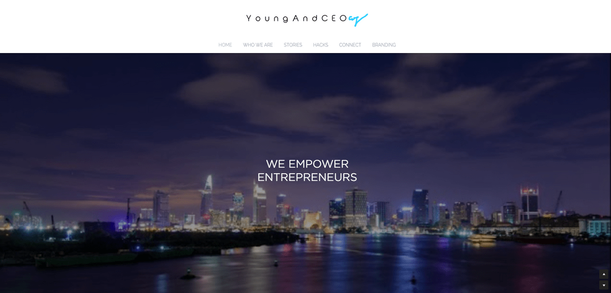 Business development strategy like CEO